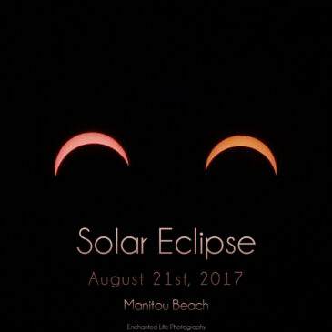 Solar Eclipse – Manitou Beach, MI